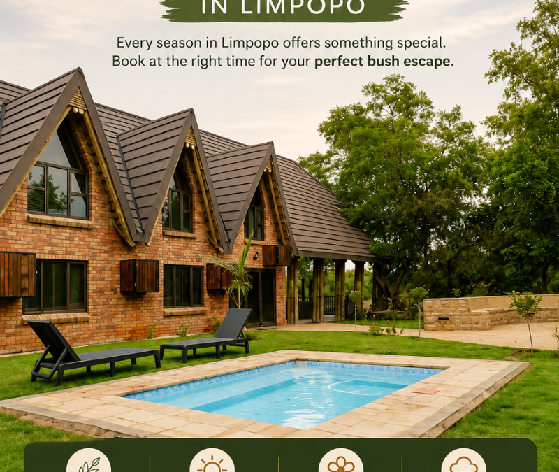 Best Time to Book Game Reserve Accommodation in Limpopo